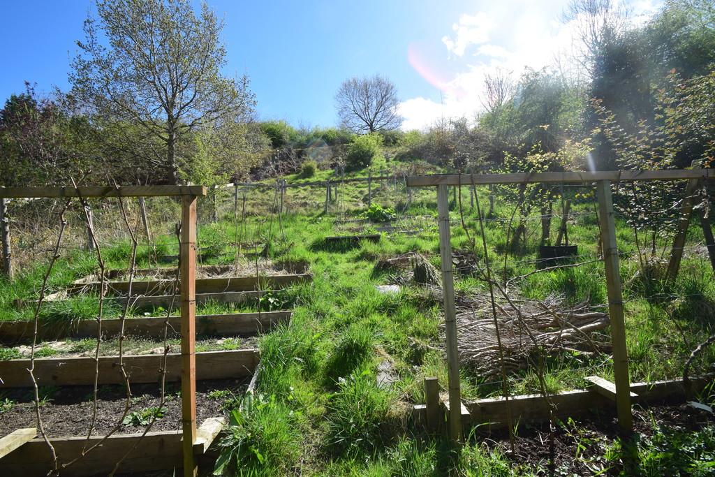Garden 1