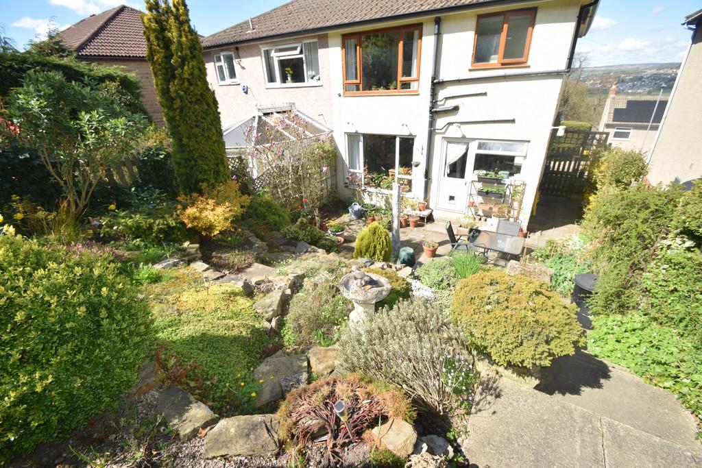 Garden 4