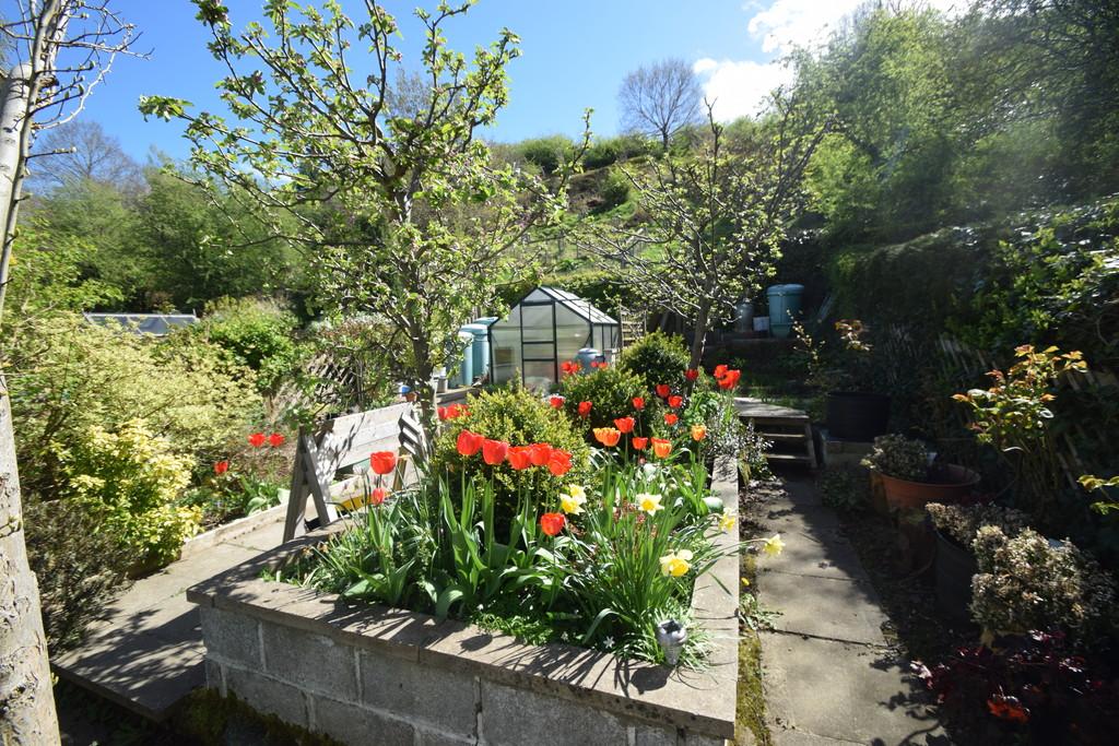 Garden 3