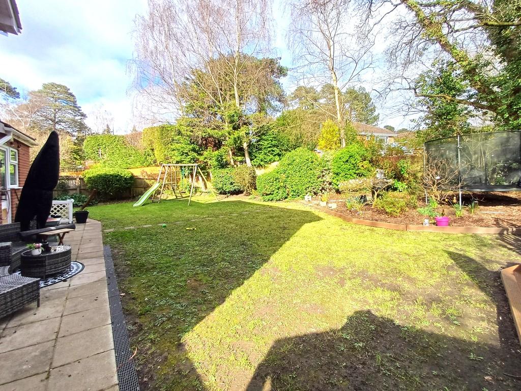Garden 1