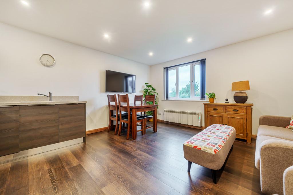 Living Room and Kitchen Area