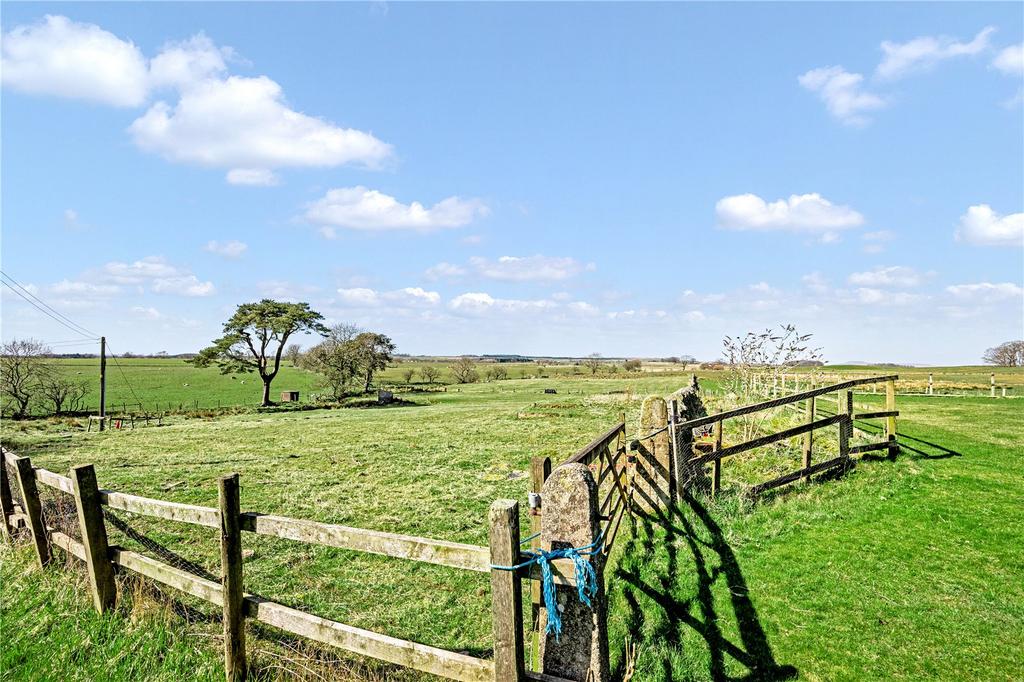 Field
