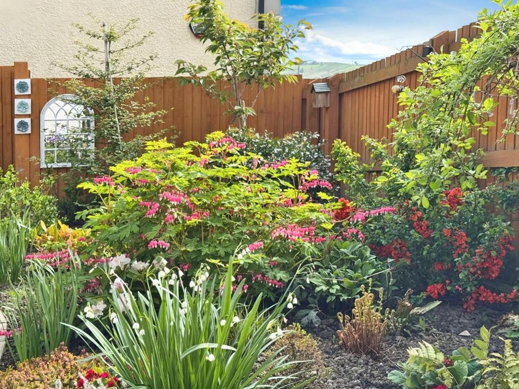 Landscaped Gardens