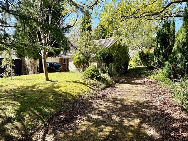 Driveway and Front Elevation