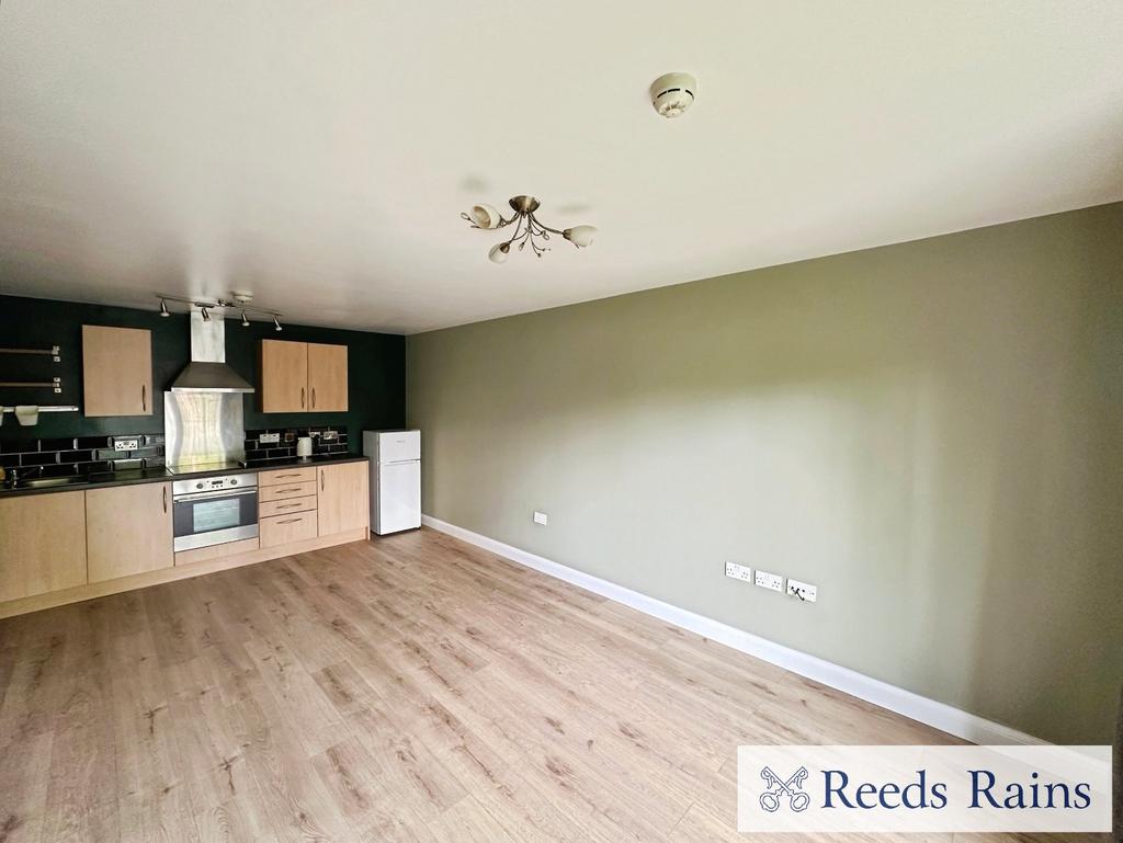 Kitchen/Living Area