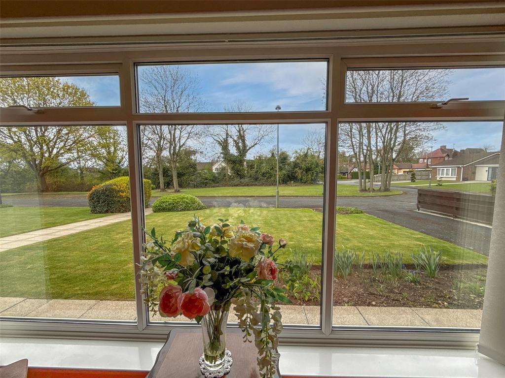 Window Outlook