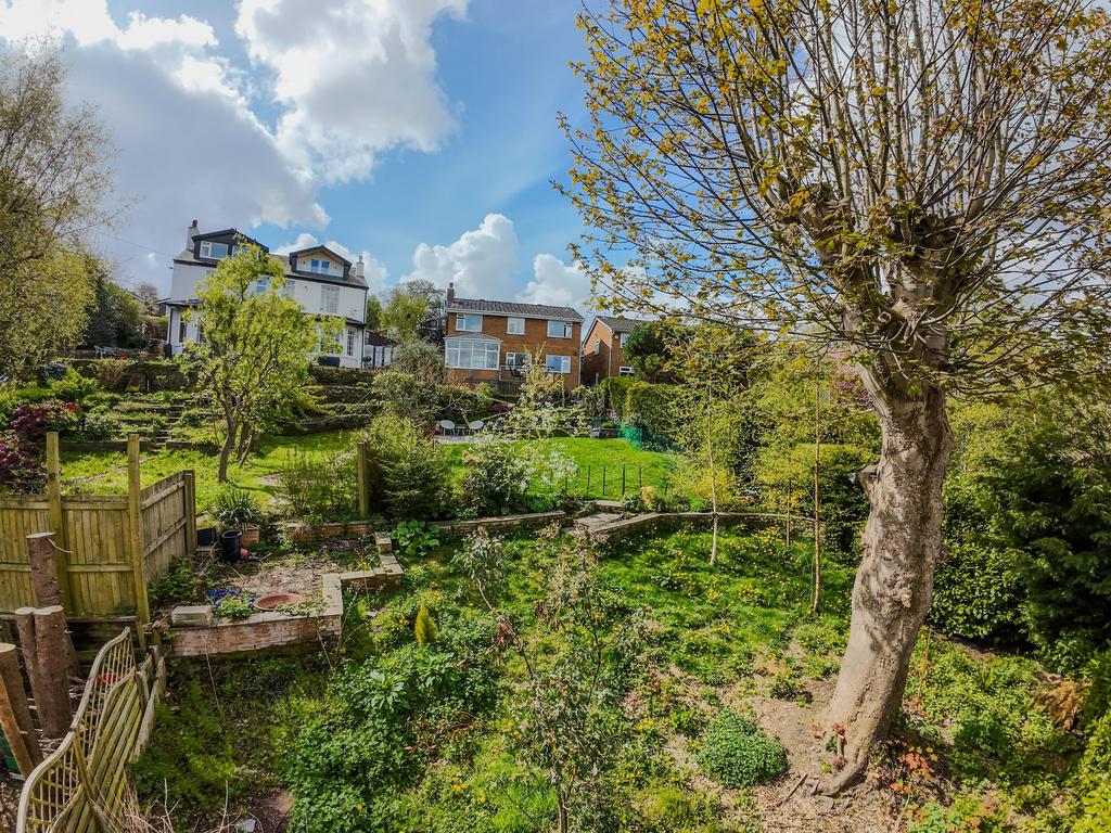 Rear Garden - Wilding Area