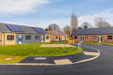 1 bedroom semi-detached bungalow for sale, Plot 6, 5 Celey Close, Spalding Road, Gosberton, Spalding, Lincolnshire, PE11