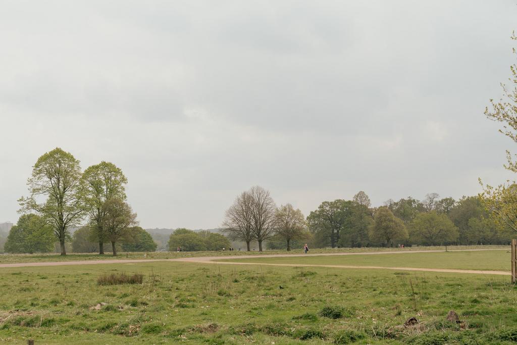 278634 - CHRISTCHURCH-ROAD-SW14-046.jpg