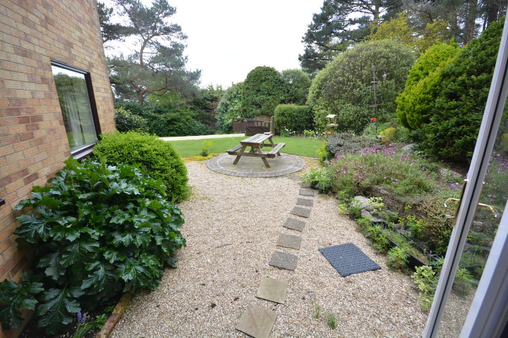 Patio area