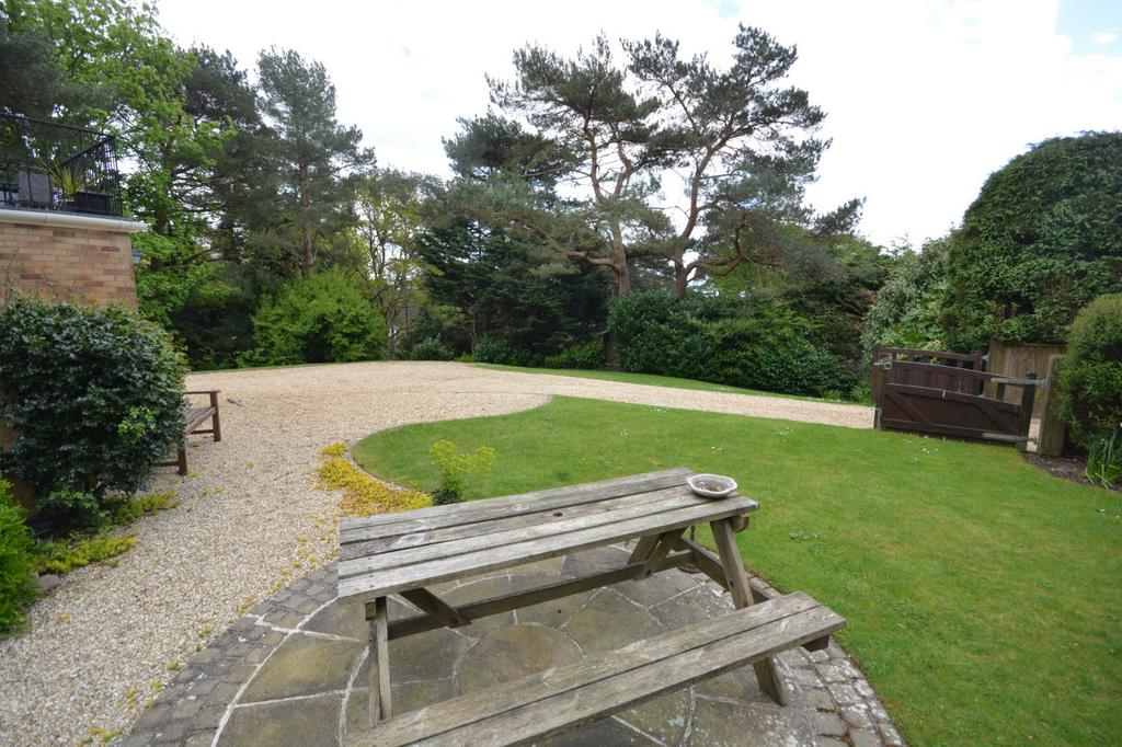 Patio area