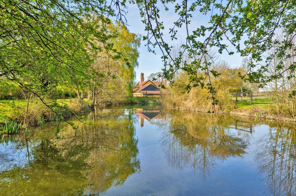 Pond