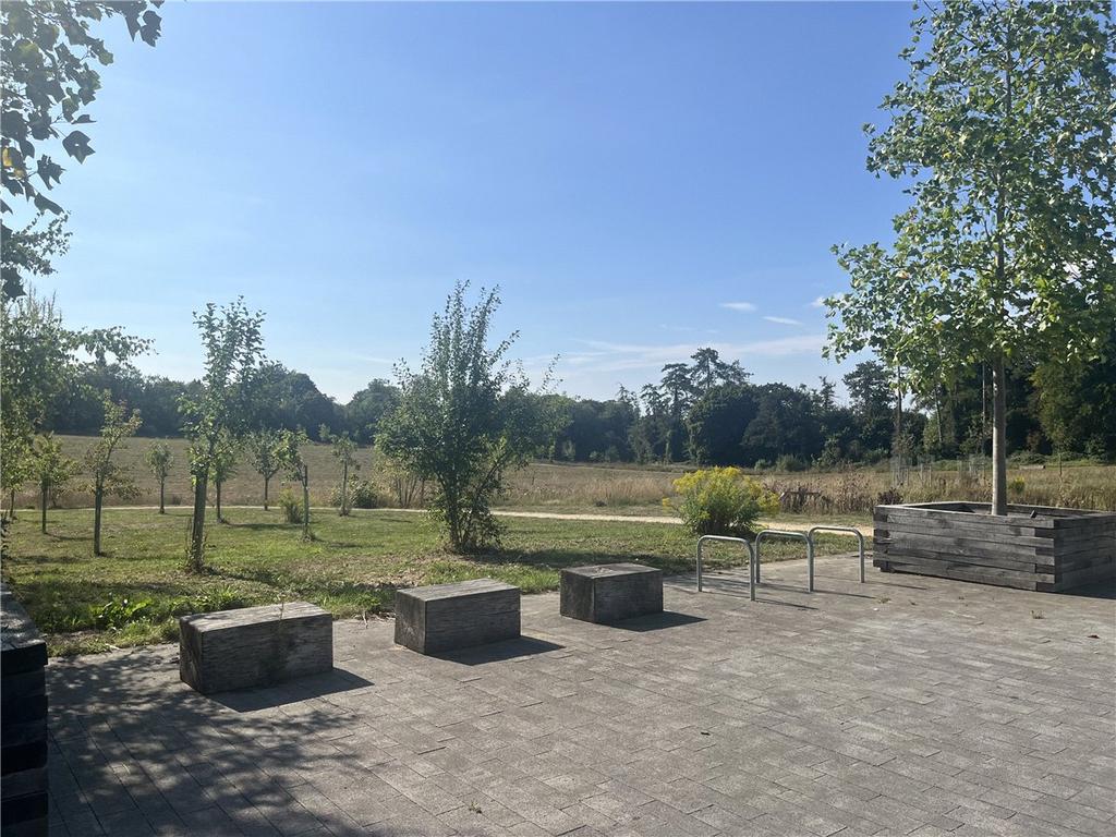 Surrounding Area