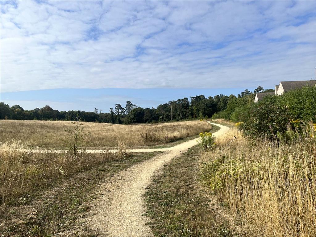 Surrounding Area