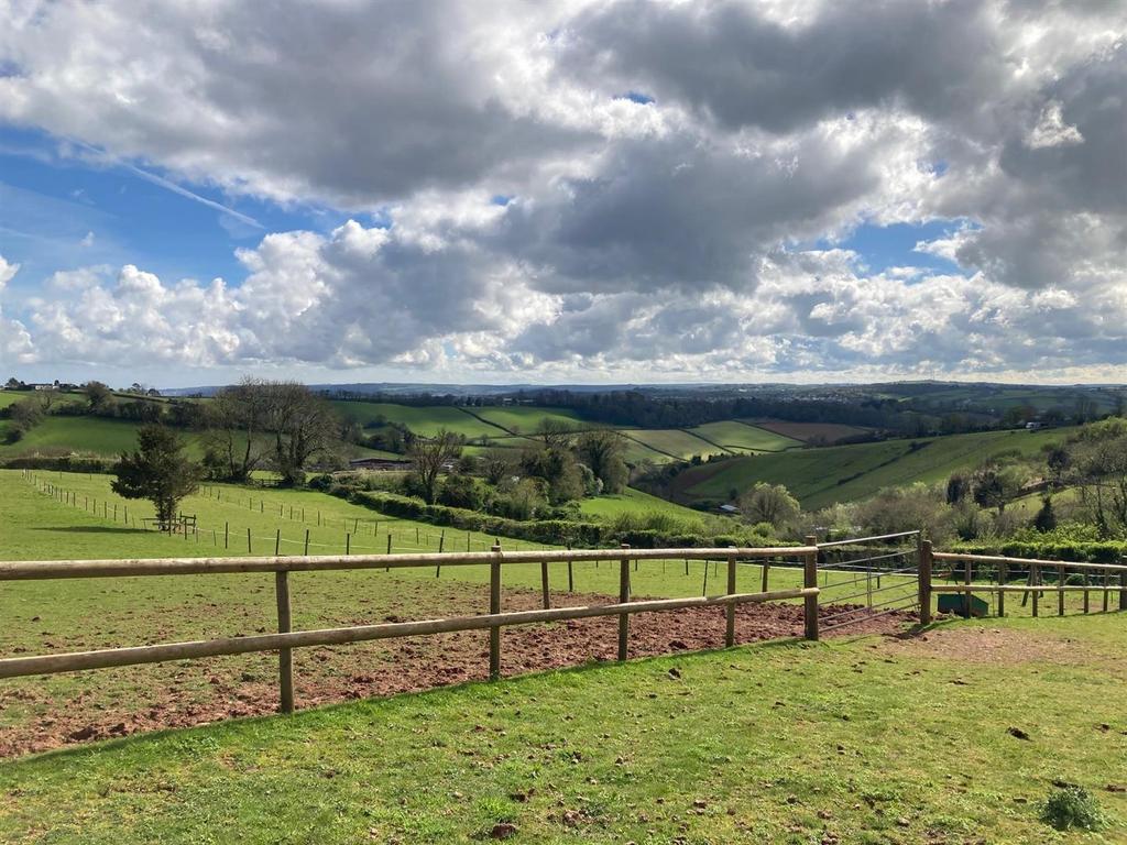 16.jpg