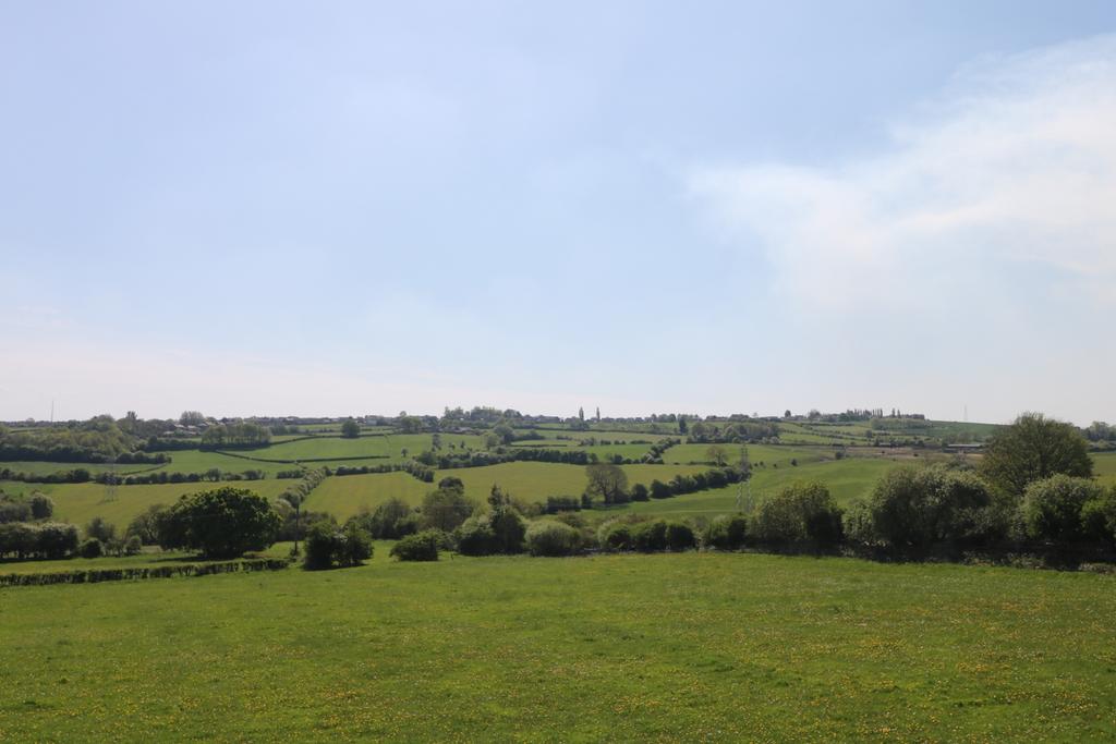 Img 0558