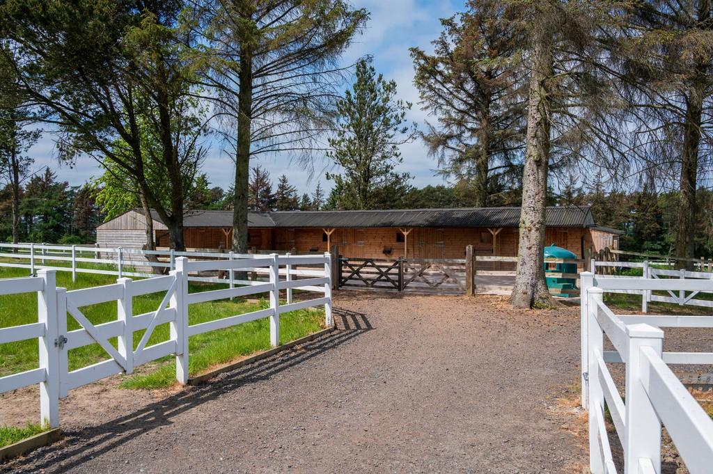 Equestrian Use