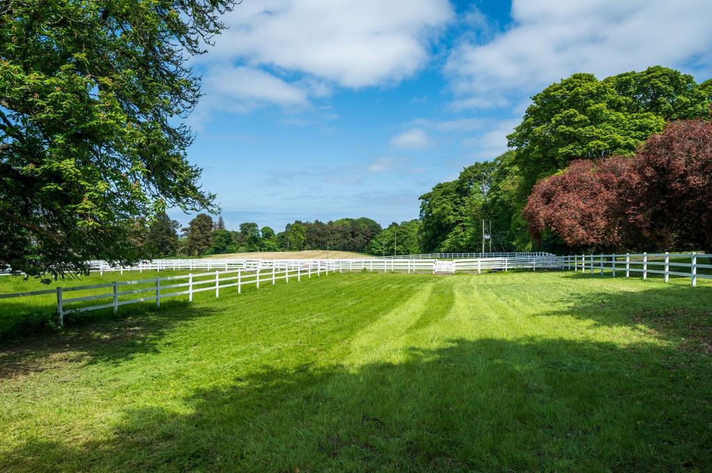 Paddocks
