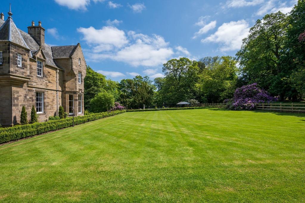 Immaculate Lawns
