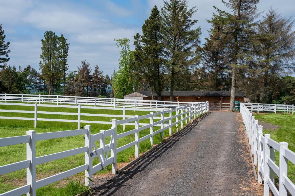 Paddocks