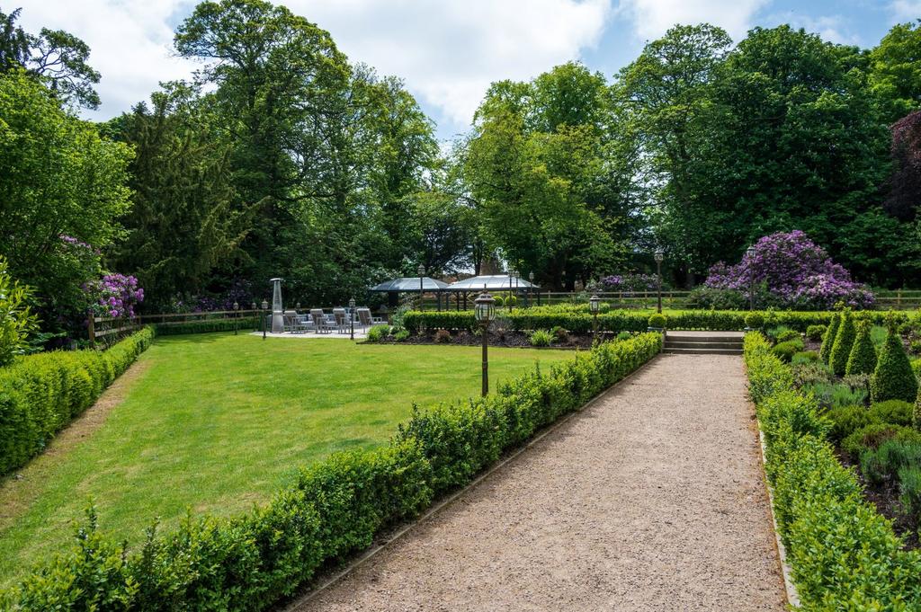 Box Hedging