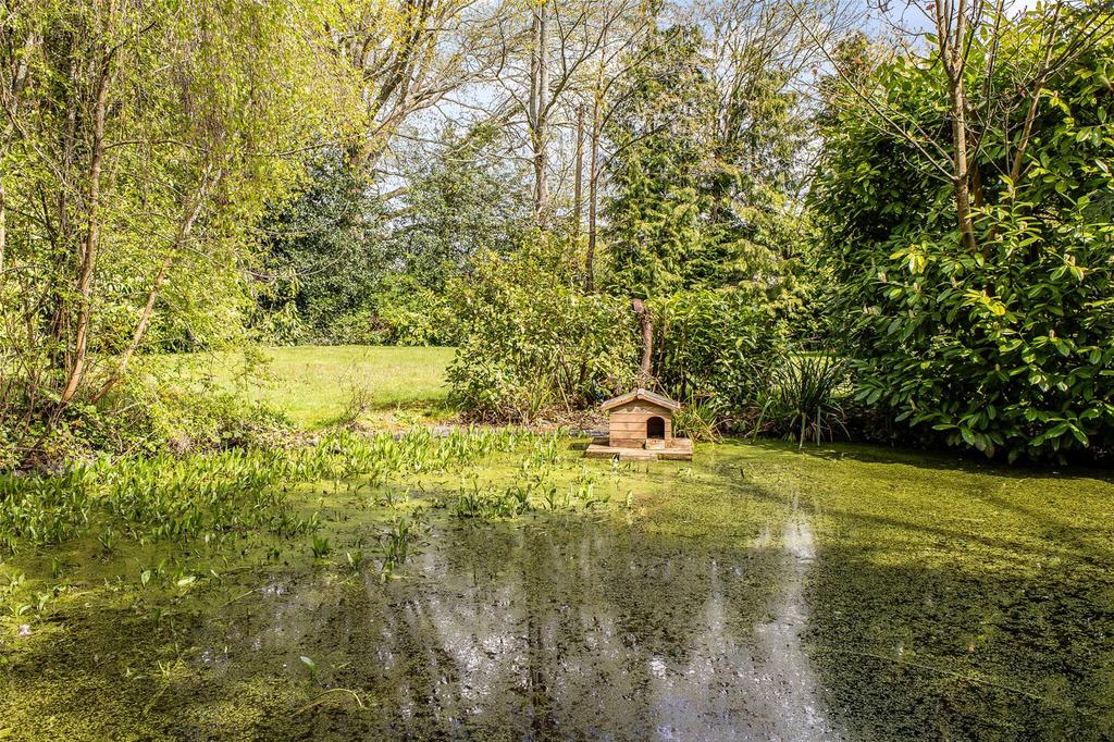 Duck Pond