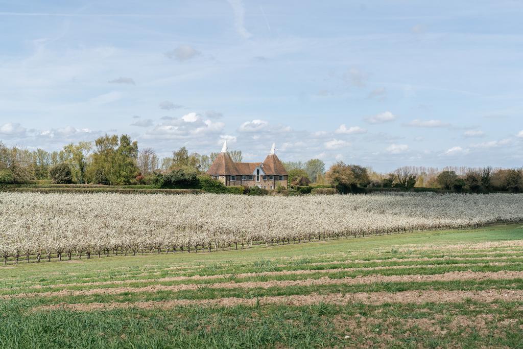 277426 - 4 Walnut Tree Cottages High Res-57.jpg