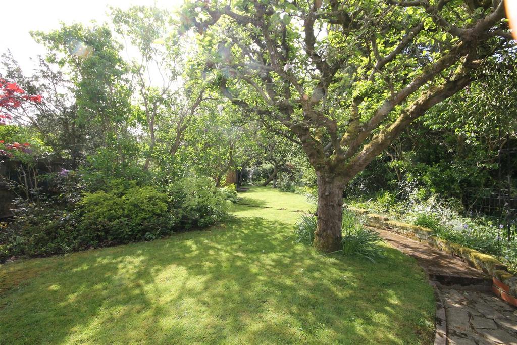 .garden2.JPG