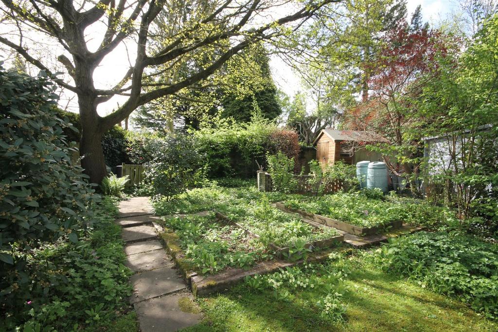 .garden4.JPG
