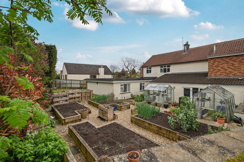 Vegetable garden