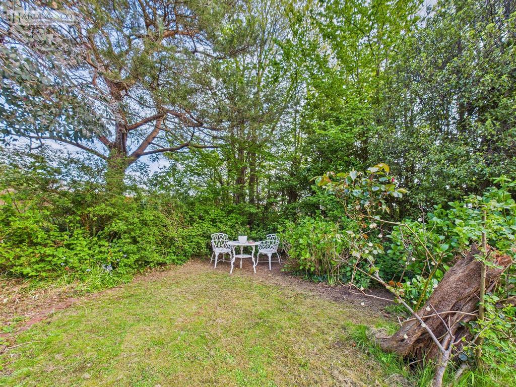 Garden iv.jpg