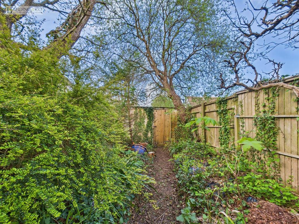 Garden vii.jpg