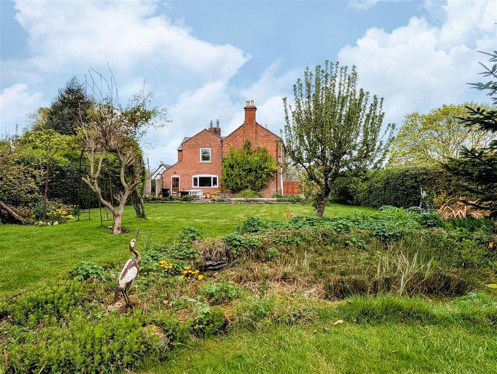 Garden 5.jpg