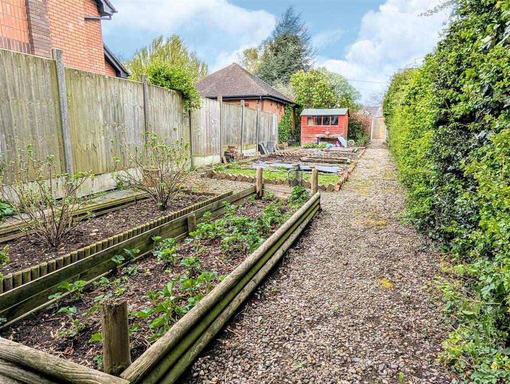 Garden 6.jpg