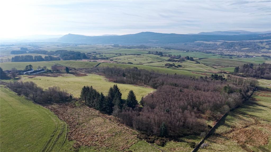 Overview