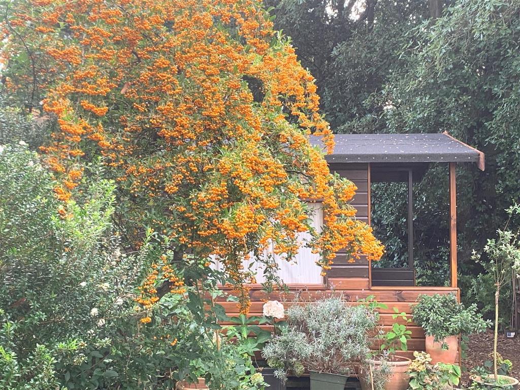 Summerhouse