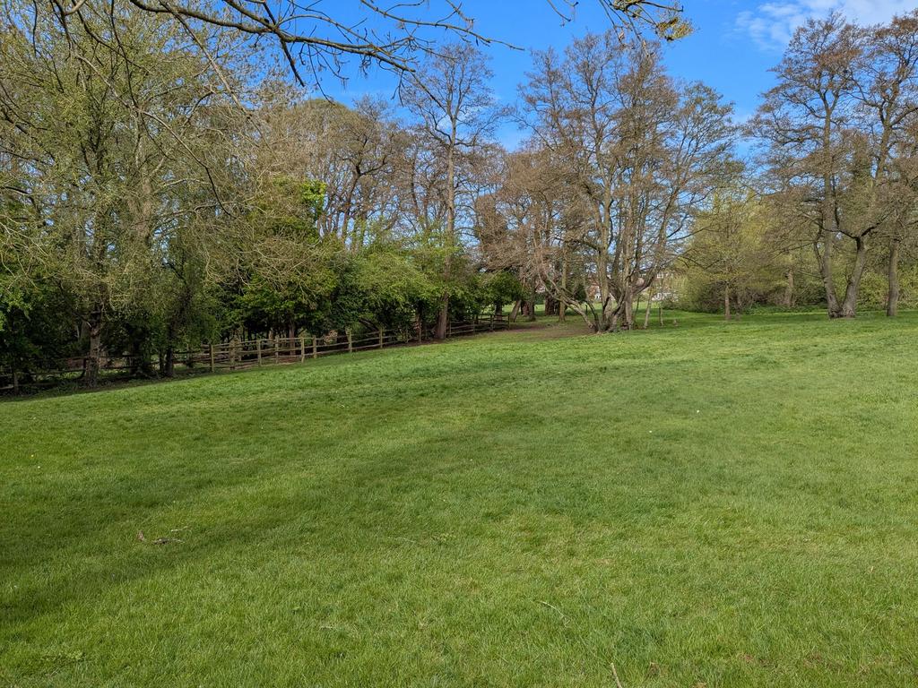Field at rear of property