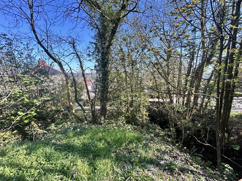 Temp Imagel DWs Bu.jpg