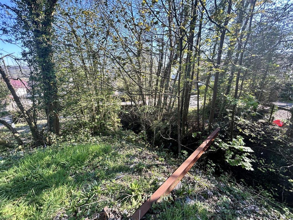 Temp Image Al Tqi L.jpg