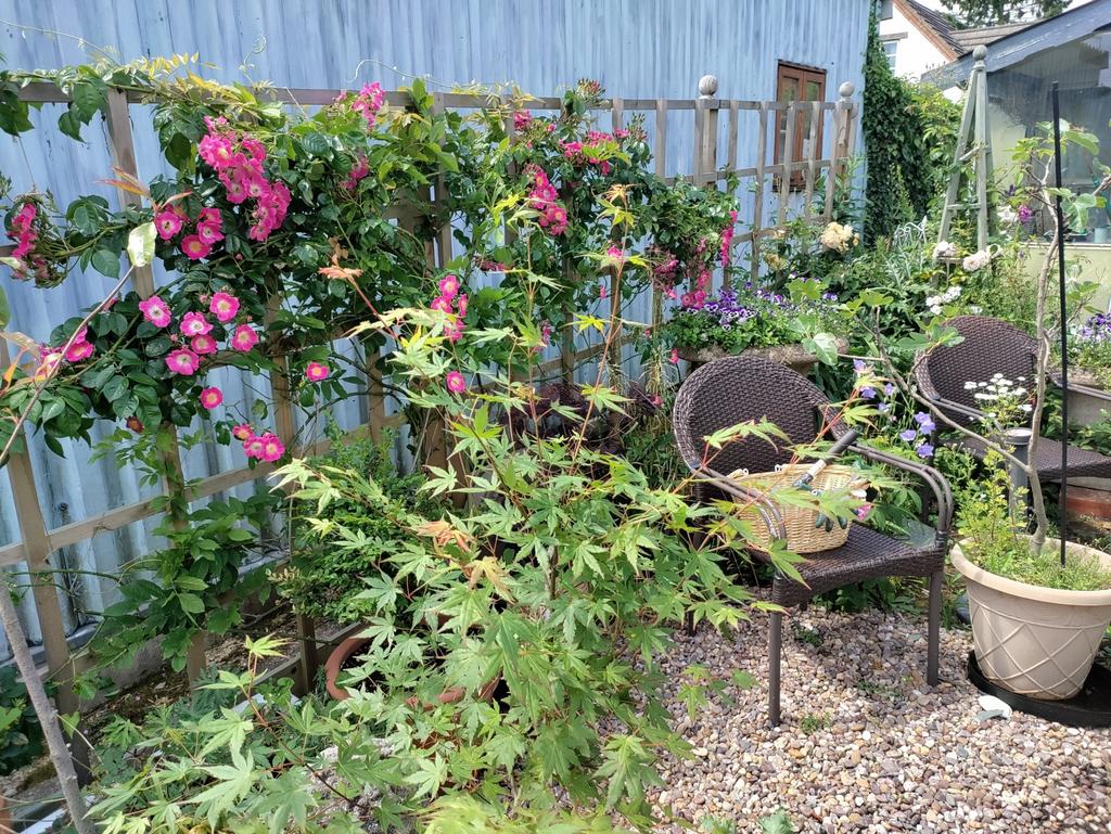 Photo 19