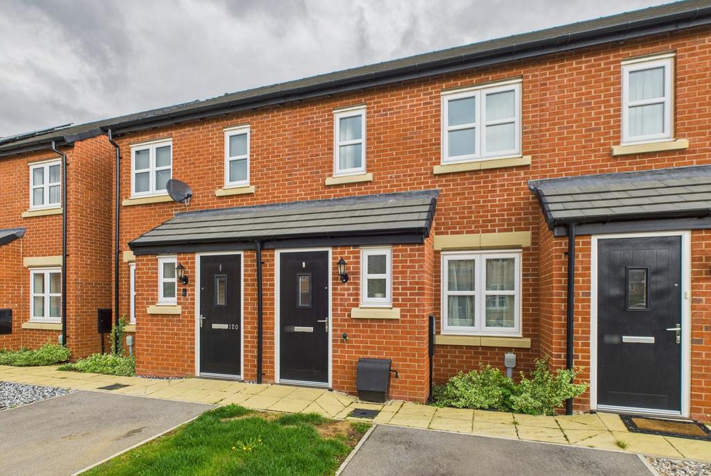 Cam02519 g0 pr0262 still003