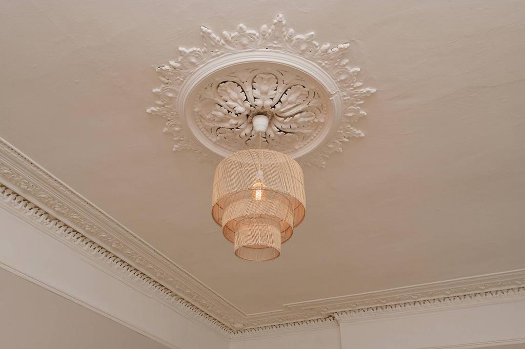 MFL0247652 494.jpg