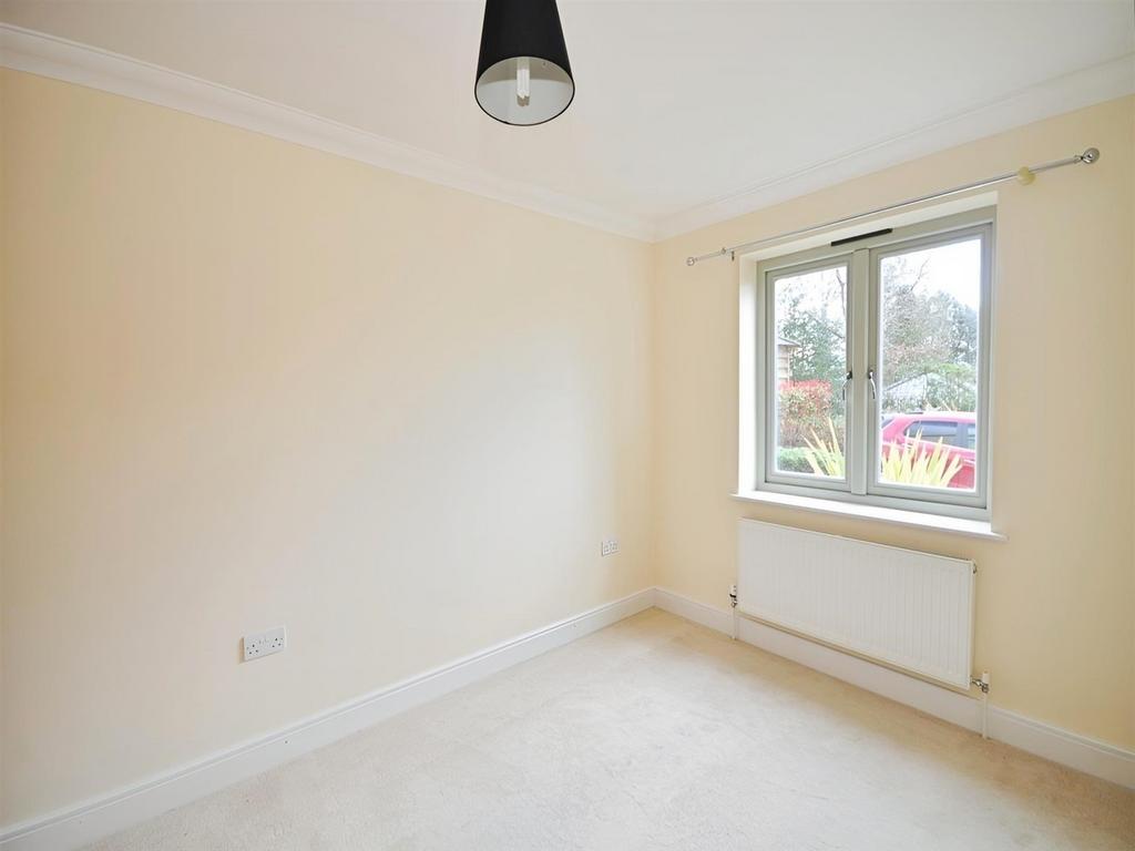 Family Room/Bedroom