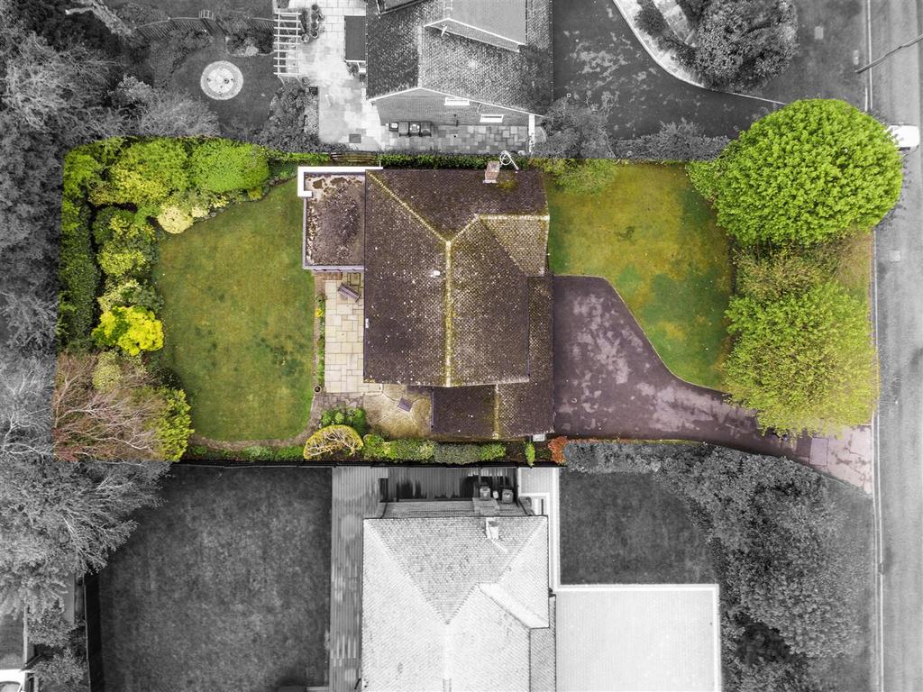 DJI 0702.jpg