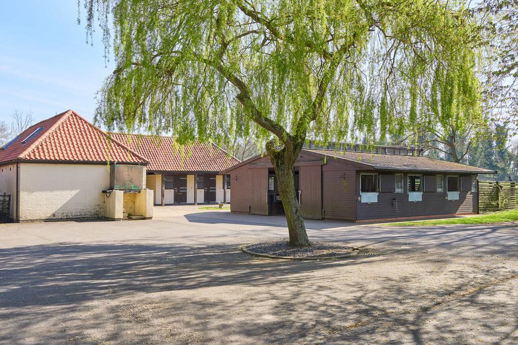 The Thatches 1104250063