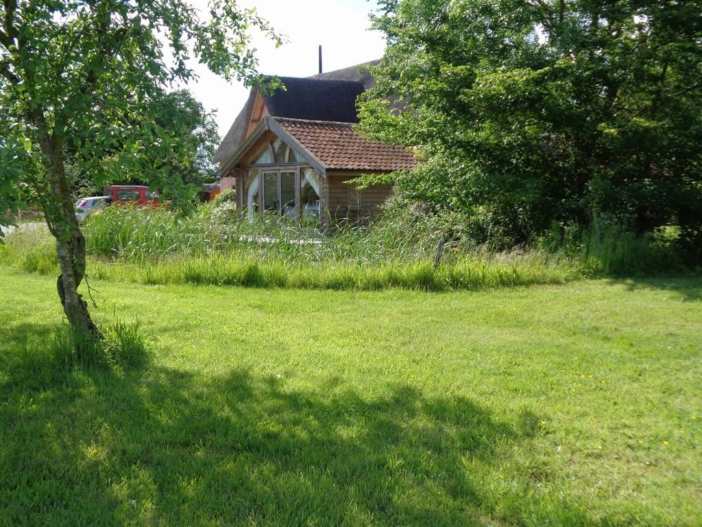 Tb DSC06555