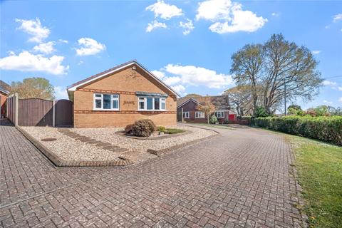 undefined, Wareham, Dorset