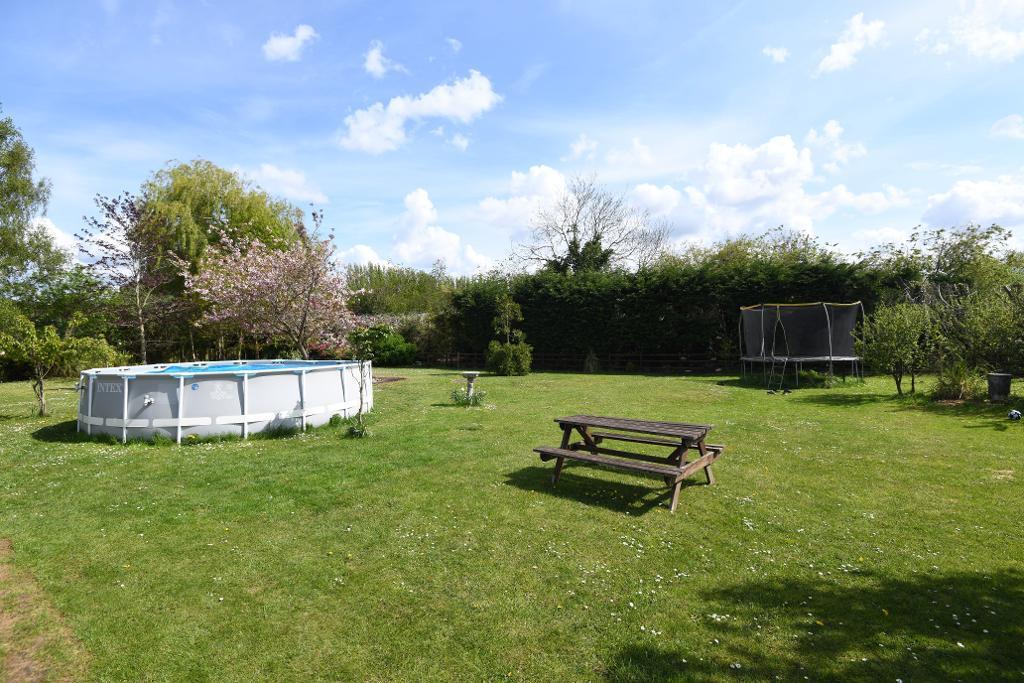 Rented Field