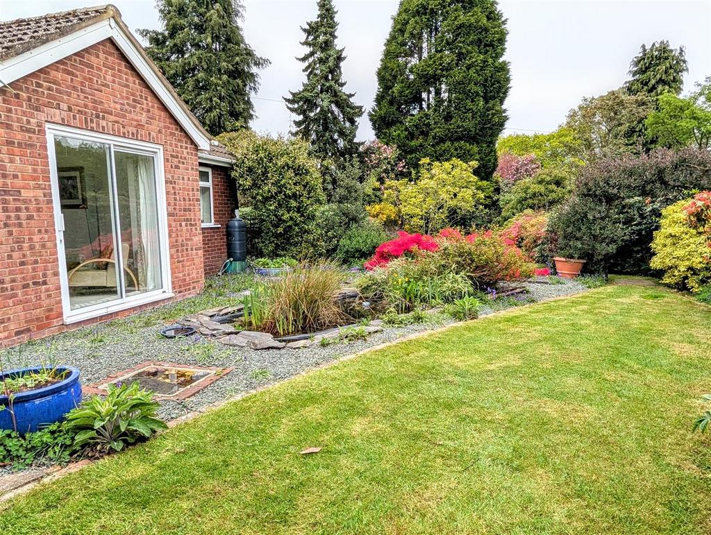 PXL 20250424 091914002~2.jpg