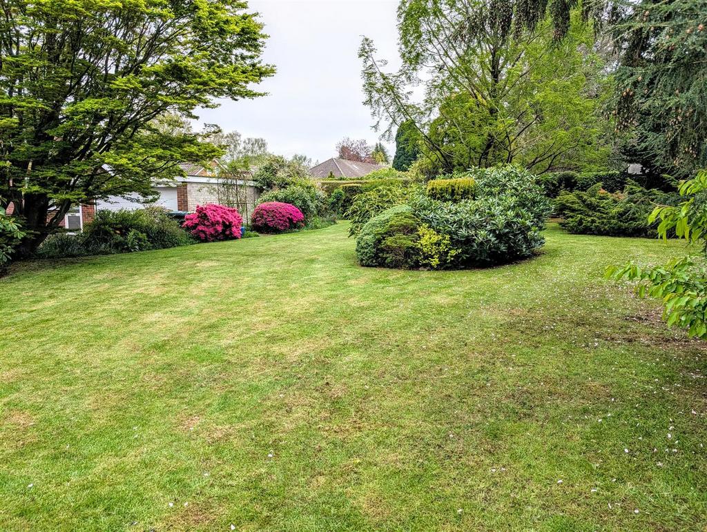 PXL 20250424 091821016~2.jpg